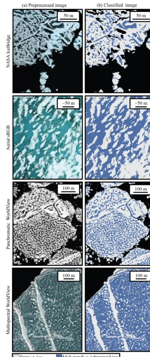 Figure 7. Side-by-side comparison of preprocessed imagery (a) and the result of classiﬁcation (b) for each of the four imaging platforms.Images depict ice surfaces in varying stages of melt