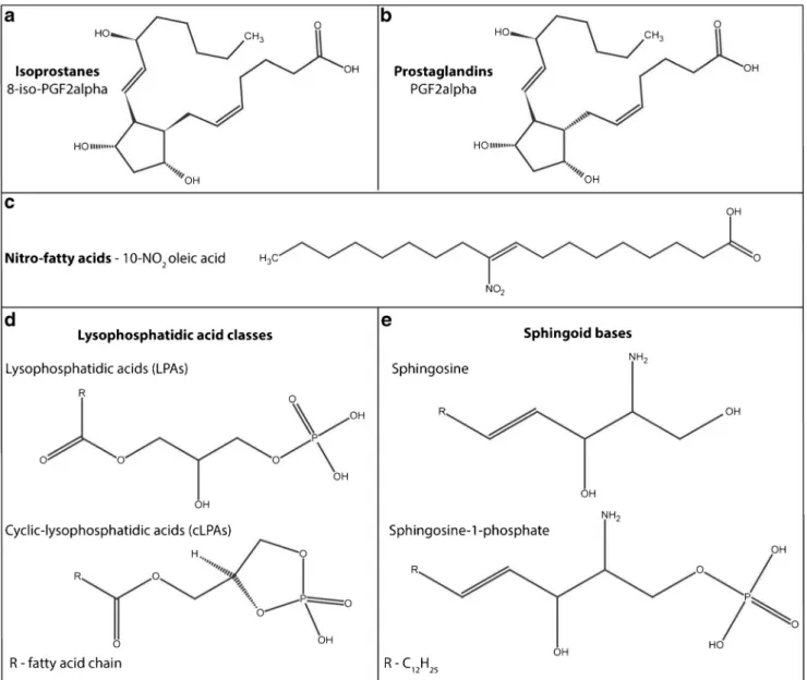 Fig. 1 Structural overview of the signalling lipids constituting the panel of inflammatory, oxidative and nitrosative stress markers: a isoprostanes, b prostaglandins, c, nitro fatty acids, d lysophosphatidic acid classes and e sphingoid bases