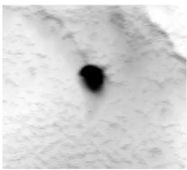 Fig.  6 Original image before enhancement and blow hole weld defect 