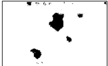 Fig. 8 Original image before enhancement and porosity weld defect 