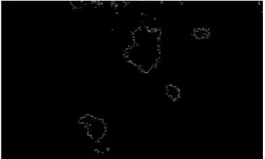 Fig. 15 Porosity segmented by Canny edge detection 