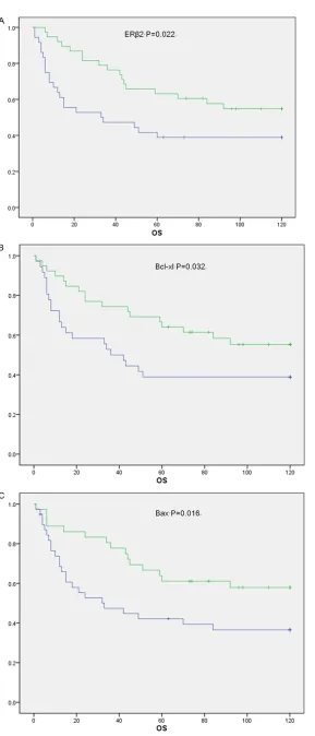 Figure 2. Evaluation of ERβ2, Bcl-xl and Bax as a predictor for OS by the Kaplan-Meier (KM) plot.
