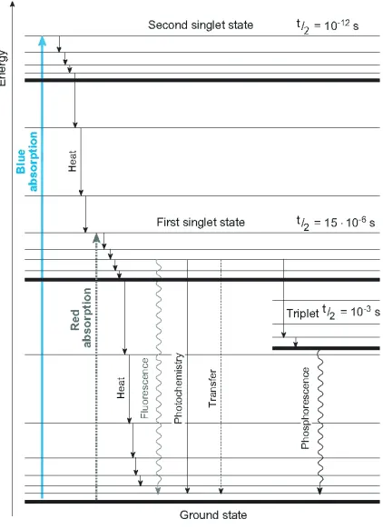 Fig. 2. – Light absorption and photochemical use at diﬀerent wavelengths [3].