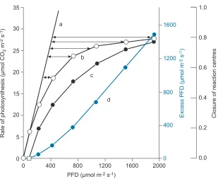 Fig. 3. – Light saturation curve of photosynthesis showing (curve b) the rate of CO2 ﬁxation inresponse to photon ﬂux density, PFD