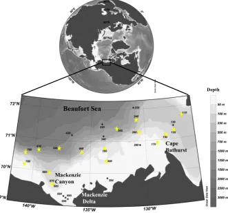 Fig. 1. Locations and station numbers investigated during the MALINA cruise over the Canadian shelf of the Beaufort Sea