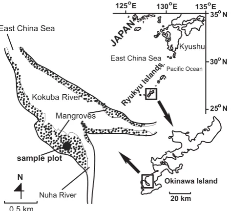Fig. 1. Location of the study site in the Manko Mangroves, Oki-nawa, Japan.