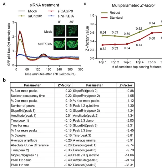 Figure 2.6: Application of the NF-κB nuclear translocation analysis method in siRNA screening assays