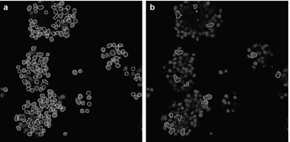 Figure S2.1: Validation of nuclear masks. (a) Accurately identified nuclear masks overlapping with Hoechst stained nuclei and (b) incorrect masks which were manually identified.