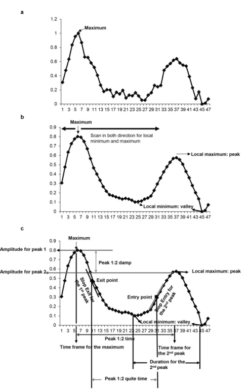 Figure S2.5: The outline to quantify the analogue parameters from individual time course profiles