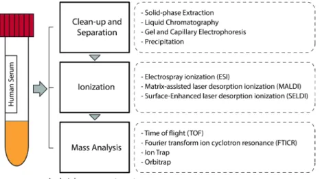 Figure 1.  General workflow for the MS analysis of human serum peptides and proteins.  