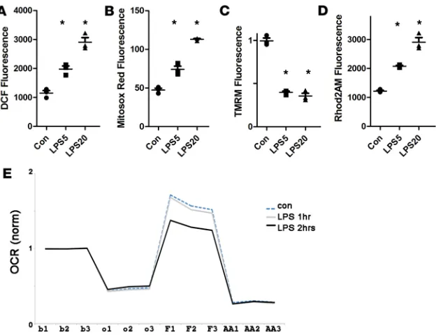 Figure 1. LPS increases oxidative stress in cardiomyocytes and causes mitochondrial dysfunction