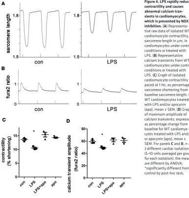 Figure 4. LPS rapidly reduces contractility and causes 