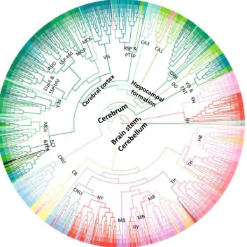 Fig. 4 Dendrogram generated by hierarchical clustering on theinjection site gene expression data