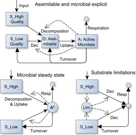 Fig. 1. Basic strategies of implementing substrate interactions. Solidarrows represent carbon ﬂuxes