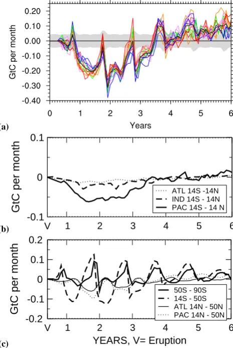Fig. 12. Time series of monthly mean carbon ﬂux anomalies fromand individual members (coloured lines and grey shaded area as inFig