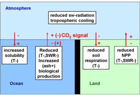 Fig. 1.Sketch of potential effects of volcanic eruptions on thecarbon cycle as included in MPI-ESM