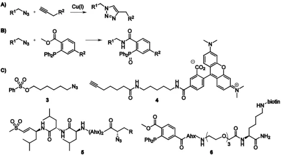 Figure 1.4. A) Copper(I)-catalyzed azide-alkyne [2+3] cycloaddition. B) Staudinger-Bertozzi ligation