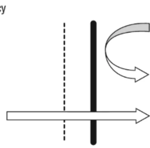 Figure 1: The semipermeable membrane (Lowenthal, 2009, pp.5) 