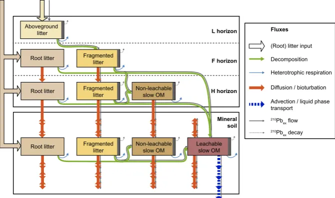 Fig. 1. Overview of the SOMPROF model and the 210Pbex module. The dark gray rectangles indicate 210Pbex associated with the organicmatter pools.