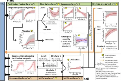 Fig. 1.1200 Fig. 1 | Summary of the inferred climate dependence of the terrestrial carbon cycle within 1201  Summary of the inferred climate dependence of the terrestrial carbon cycle within our terrestrial carbon model