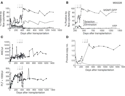 Figure 1Efficient MGMTP140K-mediated in vivo selection and chemoprotection in the baboon (M00228)