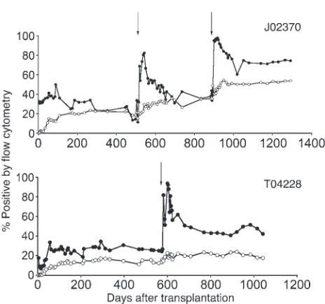 Figure 4Efficient MGMTP140K-mediated in vivo selection in macaques (J02370 and T04228)