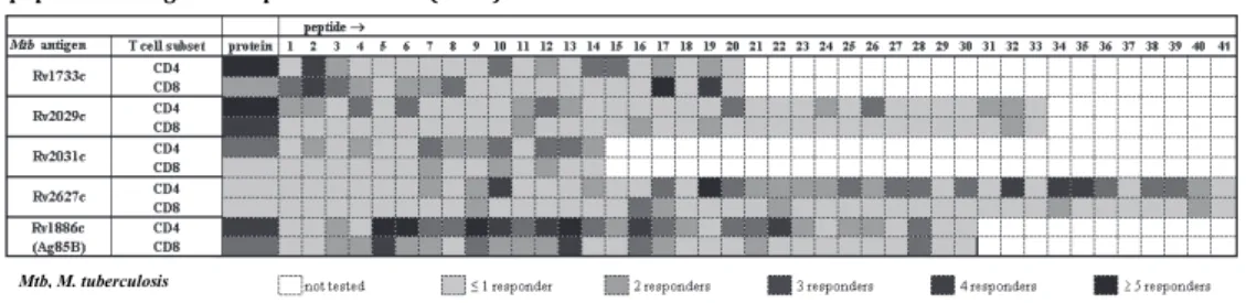 Table 3c. Cumulative CD4 +  and CD8 +  T cell response profiles to M. tuberculosis  proteins and their respective  peptides among PPD responsive donors (n=15).