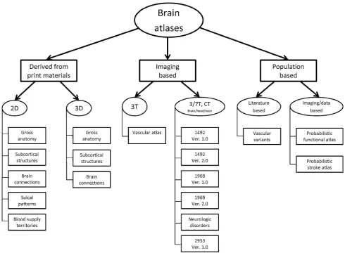 Fig. 1 Taxonomy of the currently developed brain atlases