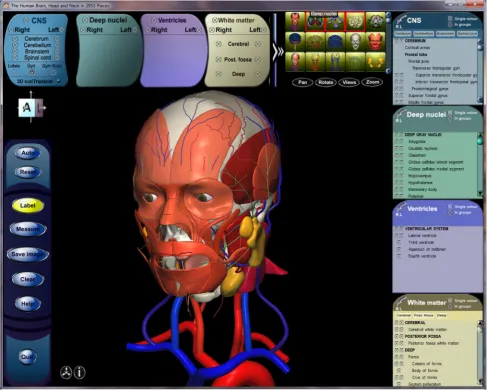 Fig. 2 User interface of the 2953 atlas: controls, anatomical index, and 3D view with the brain, head, and neck model
