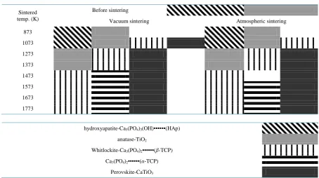 Figure 5. SEM images of the fractures produced by the com-pression testing of sintered TMA bodies