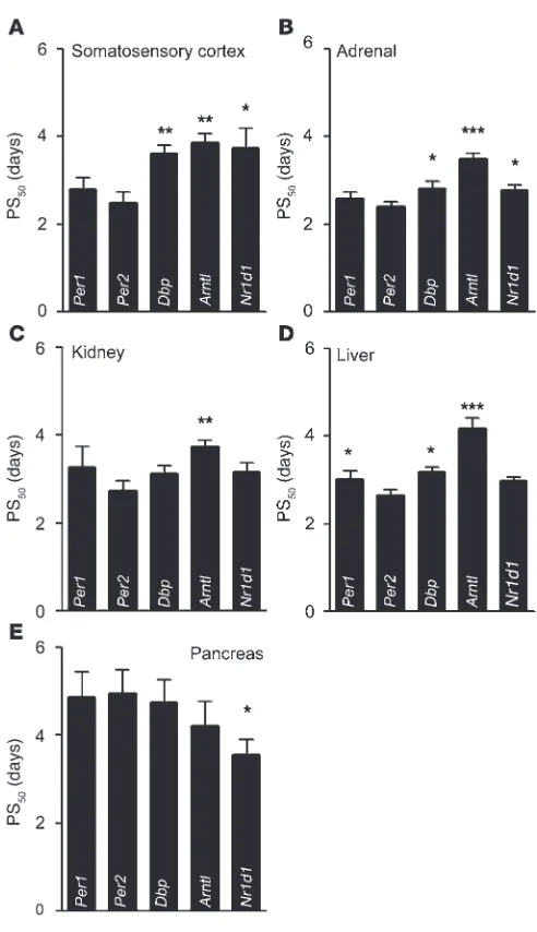 Figure 3Clock gene resetting kinetics in different tissues following 6-hour LD phase 