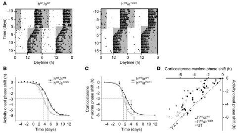 Figure 4Influence of adrenal clock function on activity reentrainment after 6-hour phase advance of the LD cycle