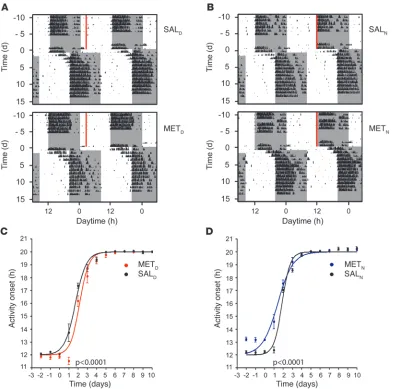 Figure 6MET injection prior to jet lag affects behavioral resetting kinetics in a phase-delay paradigm