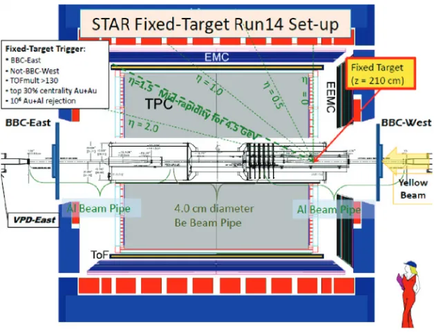 Figure 6: A schematic diagram of STAR showing the fixed-target location for the test in 2014