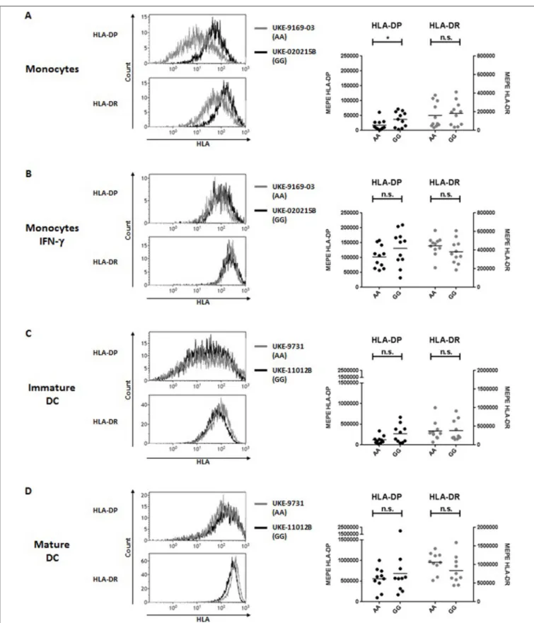FIGURE 2 | HLA-DP and HLA-DR cell surface expression in relation with rs9277534 SNP in monocytes and DC