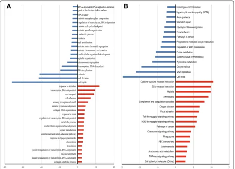 Fig. 1 Significant gene ontology (GO) analyses and pathways of differentially expressed genes during osteogenic differentiation