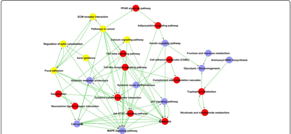 Fig. 2 The interaction network of significant pathways (Path-net). The role of each pathway in the network was measured by counting itsconnections to upstream and downstream pathways