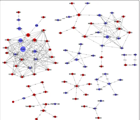 Fig. 3 The interaction network of differentially expressed genes (Signal-net). In the Signal-net, the genes are characterized by measuringtheir “betweenness centrality”, the number of times a node is located in the shortest path between two other nodes