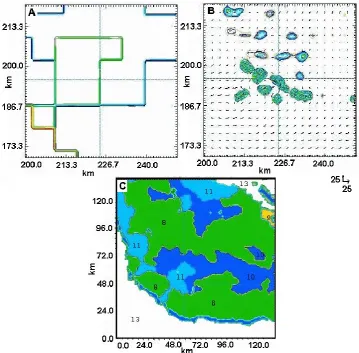 Fig. 3. Land-use representation for the zone of interest in the province of Camaguey (corresponding to domain Sim1):10-km resolution; (A) land-use with a (B) simulation using the land-use of 10 km where unrealistic clouds appeared; (C) new land-use representation at a 1-kmhorizontal resolution according to ARPS: 8 – Clay loam, 9 – Sandy clay, 10 – Silty clay, 11 –Clay, 13 – Water.