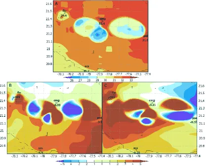 Fig. 7. Horizontal cross section at the surface at 10 800 s. (A): Temperature (◦C). (B): u-component (m/s)