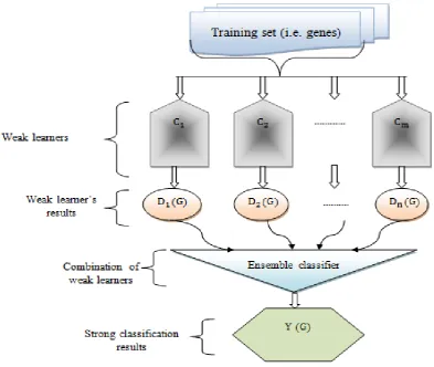 Figure 2 flow process of SDLGBC algorithm 