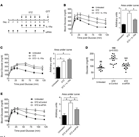 Figure 1STZ-induced hyperglycemia is partially blocked by IL-1Ra and by knockdown of eIF5A in immunocompetent mice