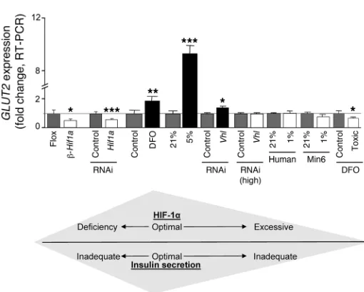 Figure 8Modest increases in HIF-1
