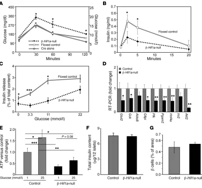 Figure 2 cell deletion of Hif1a in mice causes glucose intolerance, impaired gene expression, ATP generation, and insulin secretion