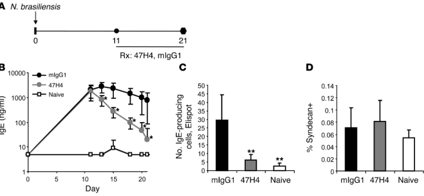 Figure 4Therapeutic treatment with M1′-specific antibody specifically reduces IgE in N