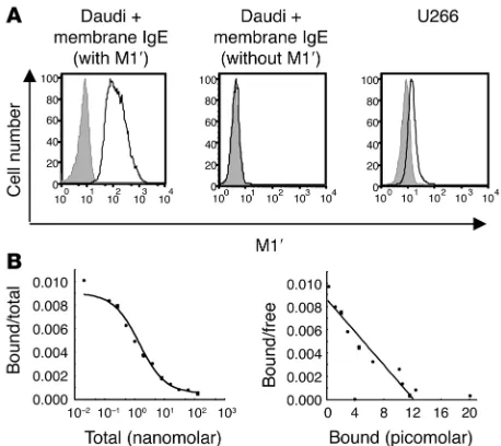 Figure 7Characterization of a humanized M1′-specific antibody. (A) Human-ized M1′-specific 47H4 antibody (h47H4) bound human membrane IgE-transfected Daudi B cells but not Daudi transfectants expressing membrane IgE that lacks the M1′ sequence