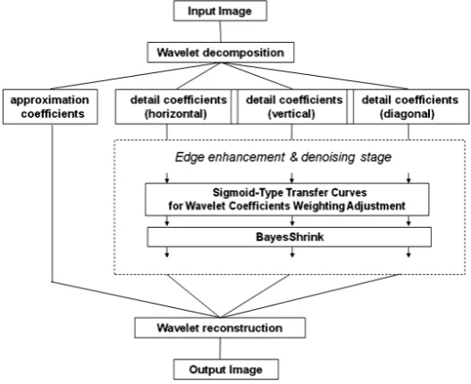 Figure 1. Flow chart of the proposed method.                         