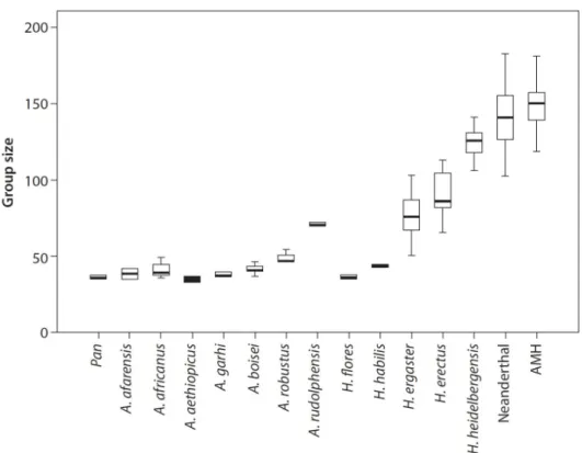 Figure 2.3: Predicted group sizes based on cranial capacity per species. (Gamble et  al., 2014, 75)