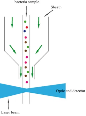 Figure 1. Schematic illustration of a flow cytometer.                           