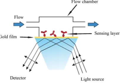 Figure 4. Simplified schematic of an SPR sensor.          